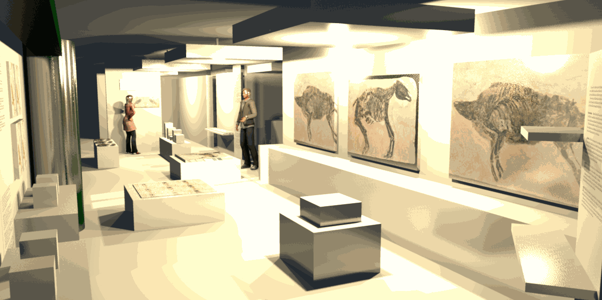 Muséum De L'ardèche Fossiles Et Dinosaures Musée Et Activités