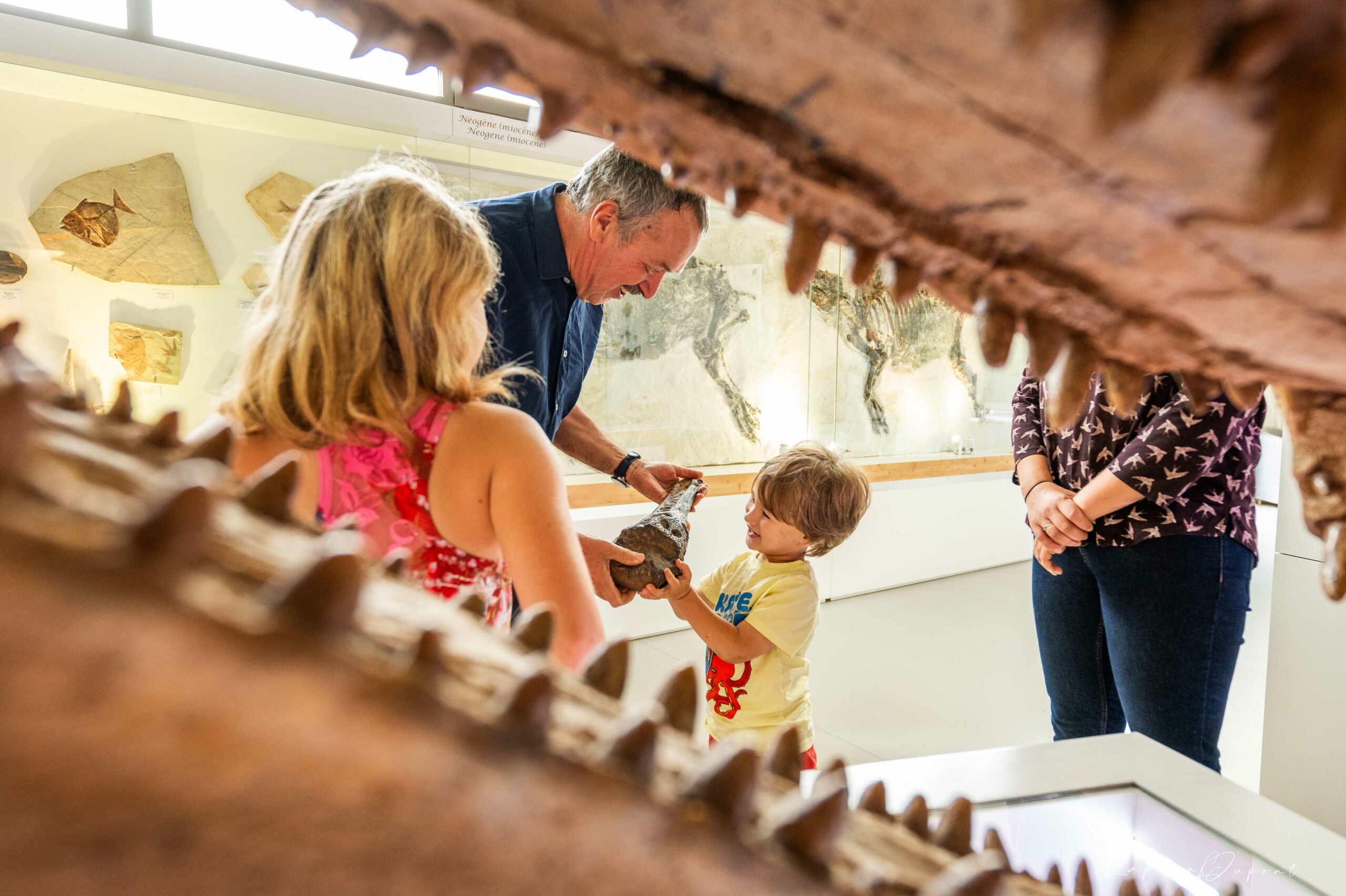 Musée de la magie  Atelier de magie pour les enfants (6 - 8 ans)